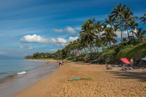 The Palms at Wailea 1805 - Luxury 2BR condo, large lanai, Full AC, Kitchen, WiFi - Image 5
