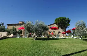 Fattoria Querceto - Image 5