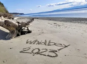 Whidbey Island Waterfront stuga! Bästa solnedgångar på västra sidan! $ 175 SPECIALS !! - Image 5