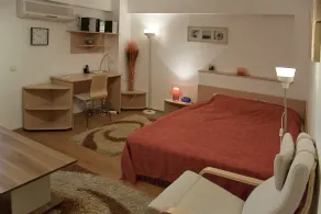 Baneasa Studio - near Herastrau Park - Image 5