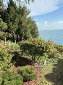Waterfront serenity - Image 3