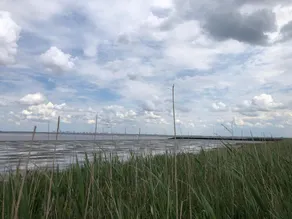 Ferienwohnung Borkum - Image 4