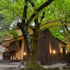 Villa Hamorebi - Image 1