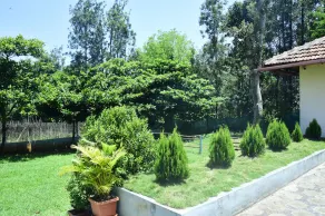 Misty Green - Image 3