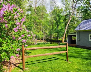 Creek Side Cottage with Lake Views, Lake Access, Dock and Secluded Yard - Image 5