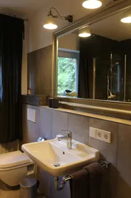 Beautiful apartment with garden, fireplace and swimming pond - fantastic location - Image 4
