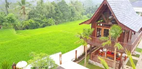 Peaceful Private Pool Villa - 9 BR with Amazing Green Rice Field View - Image 4