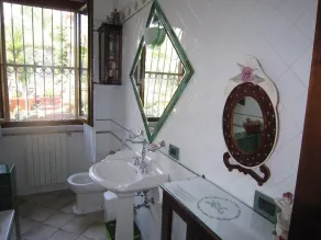 Olivo de Luschi en Castiglioncello - Toscana - Image 4