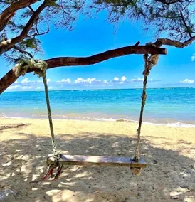 Breezy Beachfront Getaway w180 degree Oceanview - Image 4