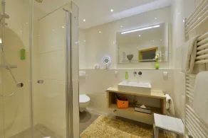 Premium Double Room - Freund Hotel - Image 5