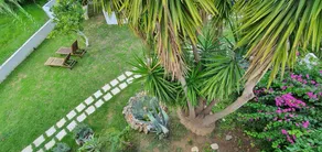 Irini Studios - Image 5