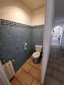 Villa 250 m2 auf 4000 m2 Pinienwald Spa 6 Plätze, Schwimmbad - Image 4