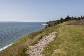 Sunset Bluff House - Stunning Ocean Views - Image 4