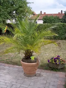 Charming cottage with conservatory in Bayreuth on the eastern outskirts - Image 3