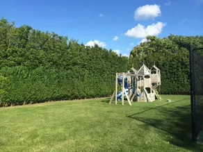 Water Mill Perfection: Tennis, Saltwater Pool, Winery, Art Museum, Kids Oasis - Image 5