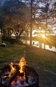 Peaceful & \"Pleasant\" Lake Retreat on \"The Point\" - Image 3