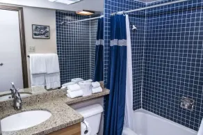 Cottonwoods Unit 1F | Stylish Condo with Excellent West End Location, Wood-Burning Fireplace - Image 2