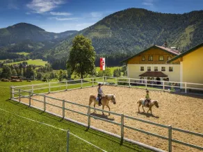 Am Ferienbauernhof Schmiedbauer com Salzkammergut - Image 2