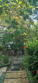 Cores de Boipeba - Image 2