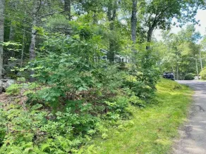 Spacious 1 Bedroom Cottage Close to Everything 2 - Image 5