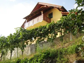 Vineyard Cottage Ucman - Image 5