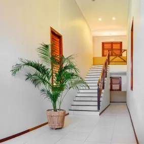 Standard Apartment - Vila Jeri Hotel - Jericoacoara - Image 2