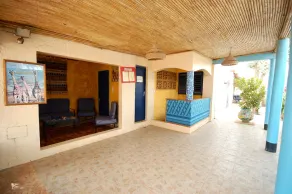 Blue Africa - Image 2