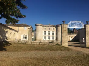 Orangery of a Bordeaux castle ideal for families! - Image 4