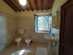 The olive house - Image 2