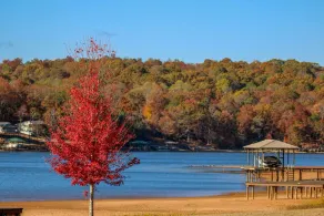 Tan Yurt On Beautiful Logan Martin Lake. Located in Clear Creek Cove RV Resort. - Image 3
