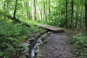 Renovated 2 BR/1BA guest house on private 18-acre property - Image 5