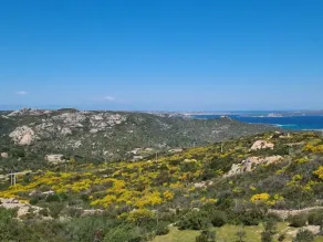 Villa Nido del Cuculo an der Costa Smeralda - Image 3