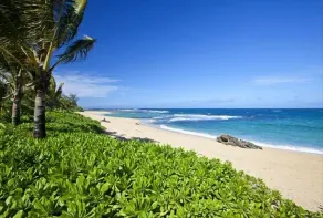 Beachfront Tropical Dream House !! - Image 5