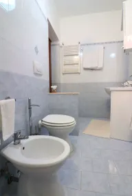 La Rosa del Sud - Image 3