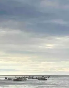 Apartment for 2 people - Ocean view😍 - Image 4