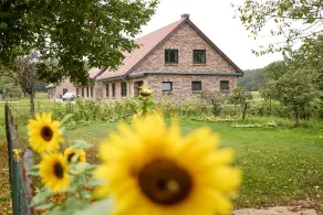 Landurlaub im ruhigen Basthorst - Image 5