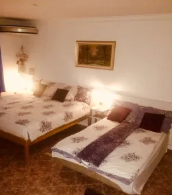 Studio apartment **** with terrace & garden - Image 3