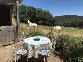 Le Charme Authentique et Bohème de la Pleine Nature Dans le Golfe de St Tropez - Image 5
