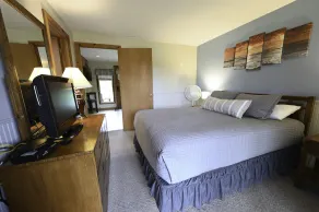 Ren hyggelig 1 bdrm. 1 bad. Udsigt over bjerg på golfbane, adgang til pool, WiFi! - Image 5