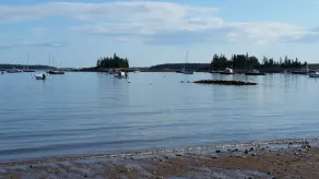 Seal Harbor, Acadia National Park - 'Hidden House 2' - Image 2