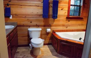 Modern Private Cabin, Fishing, Shooting Range, Fire Pit, 4WD Trails & Canoeing - Image 5