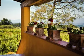 Trebbiano-Panoramic apartment with swimming pool and vineyard - Image 3