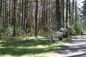 Bungalow B 2 - Silz holiday village in the pine forest with its own beach access - Image 4