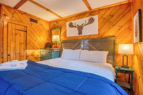 Wild Pines Cabin | Shared Waterfront w/ Bistro Lighting & Fire Pit - Image 5