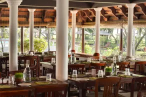 Coconut Lagoon - Image 4