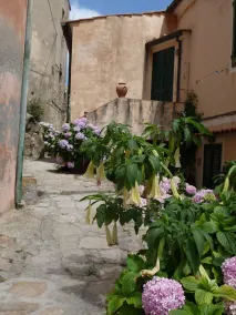 Toscana, Isola d'Elba: affascinante casa in tipico villaggio affacciato sul mare - Image 5