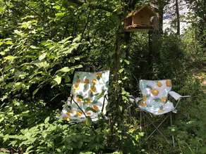 Renovierte Holz-lehmhütte mit Bestandschutz im Naturschutzgebiet - Image 5