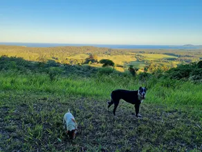 Mountain Retreat with The View, Avocado and Banana Farm stay - Image 2