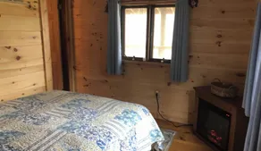 Rustic cabin on private pond and 7 acres! Woodstove, porch for wildlife viewing - Image 4