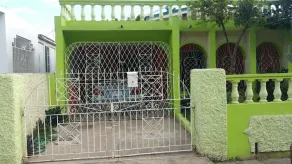 A beautiful house filled with greenery - Image 5
